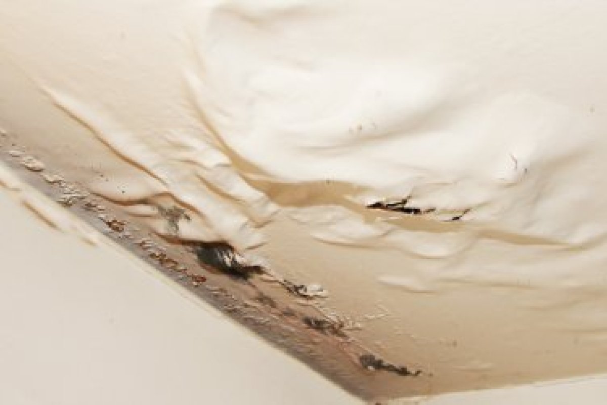 Que faire lors d'une fuite d'eau au plafond?